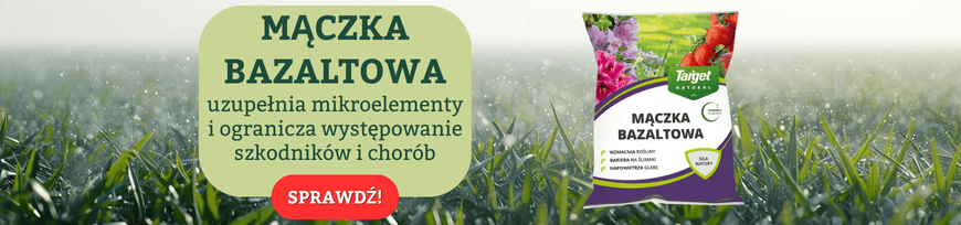 Mączka bazaltowa