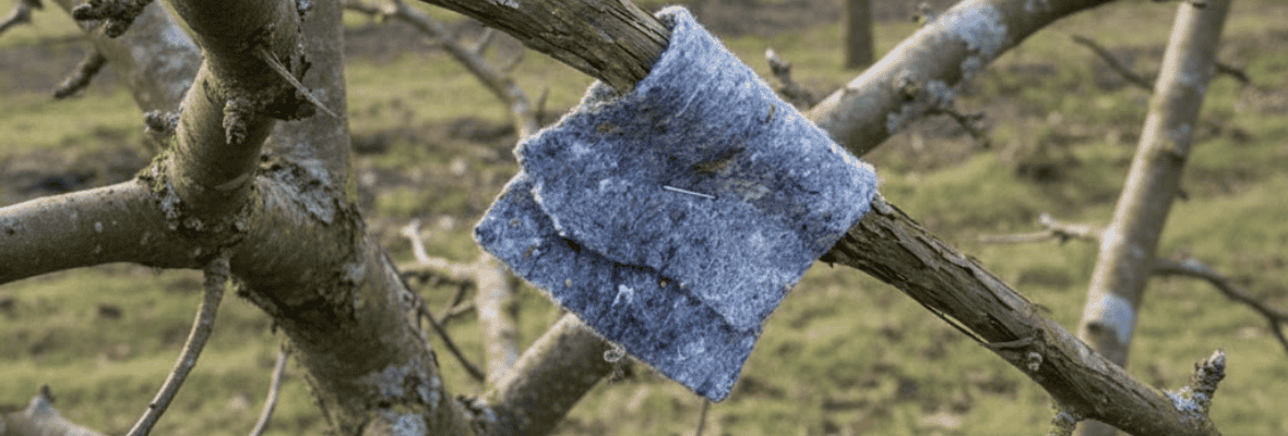 Dobroczynek_gruszowy - opaska