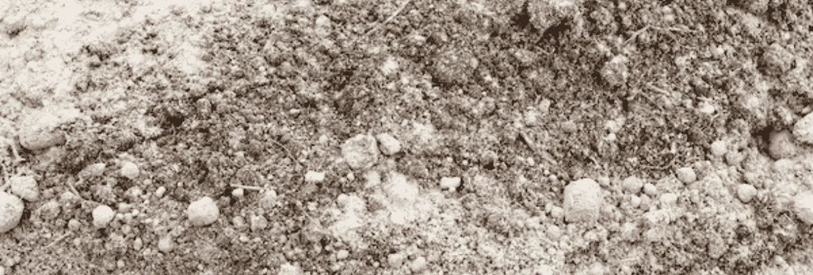 Dolomit w ogrodzie