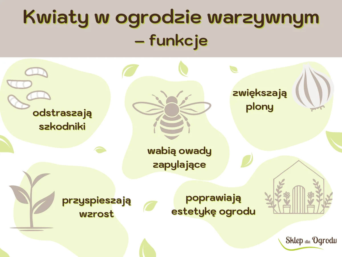 Kwiaty_do_ogrodu_infografika