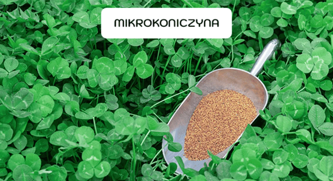 mikrokoniczyna