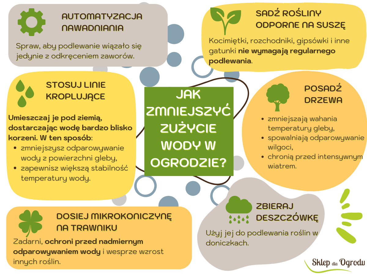 Sposoby na zmniejszenie zużycia wody w ogrodzie - infografika