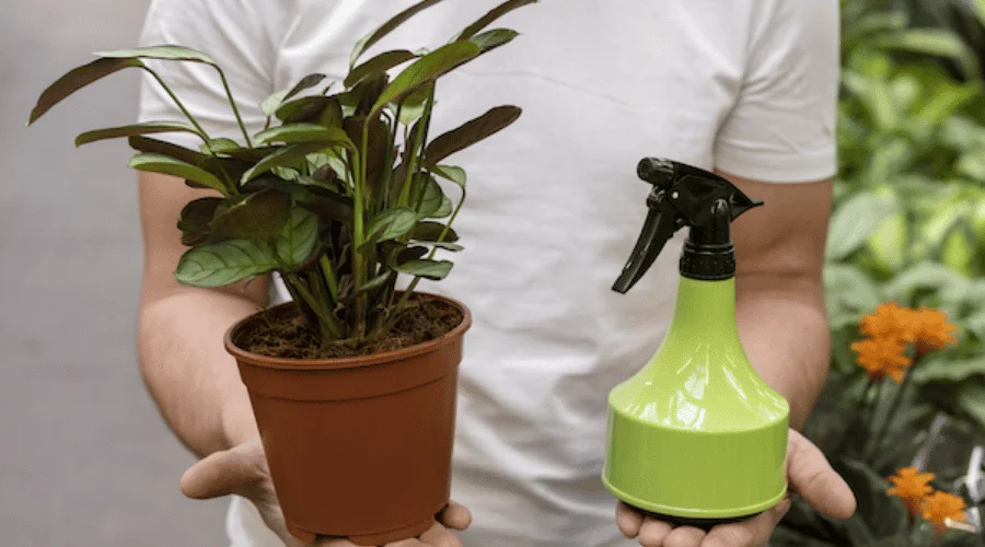 Błędne nawożenie