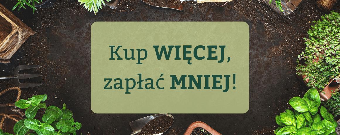 Kup więcej, zapłać mniej