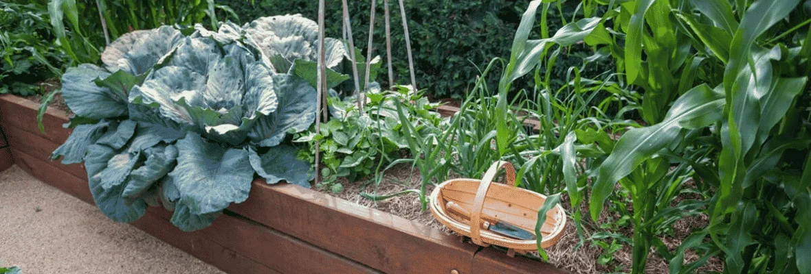 Wolf_Garten_narzedzia__ktore_ulatwiaja_pielegnacje_ogrodu