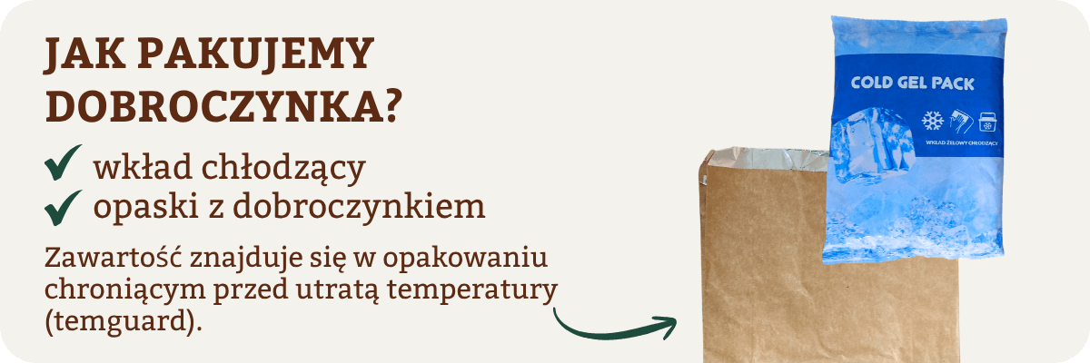 Wkłady do transportu