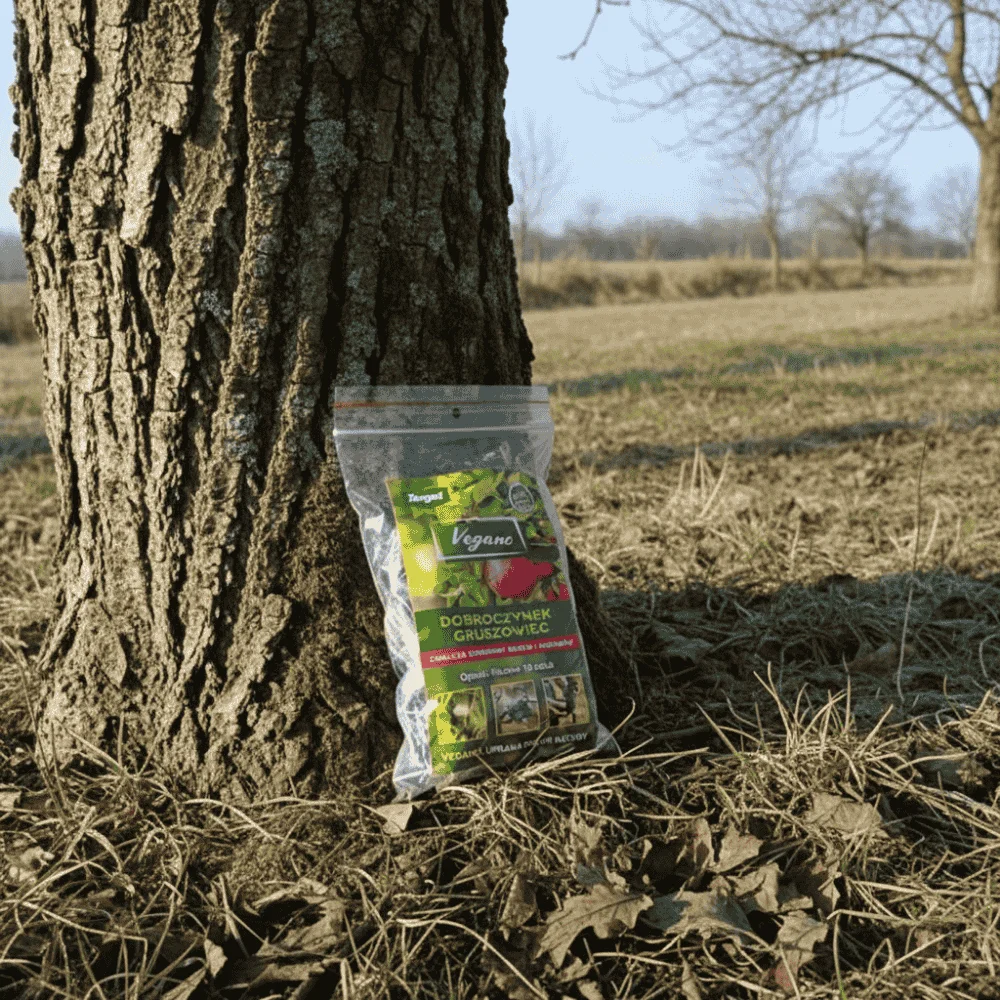 Dobroczynek gruszowy - opaski filcowe Vegano 40 szt. Dobroczynek_gruszowy