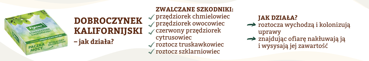 Dobroczynek kalifornijski - jak działa