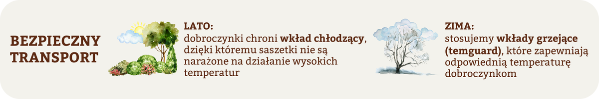 Jak transportujemy dobroczynki?