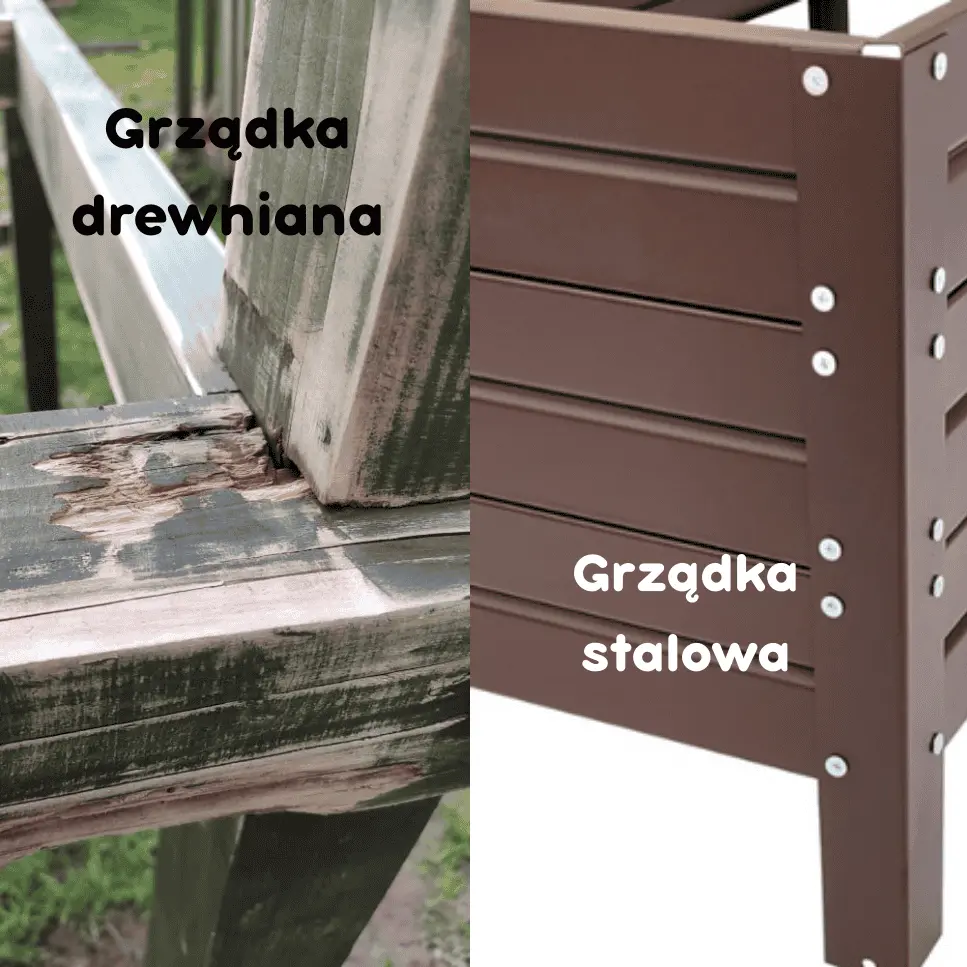 Grządka drewniana a stalowa