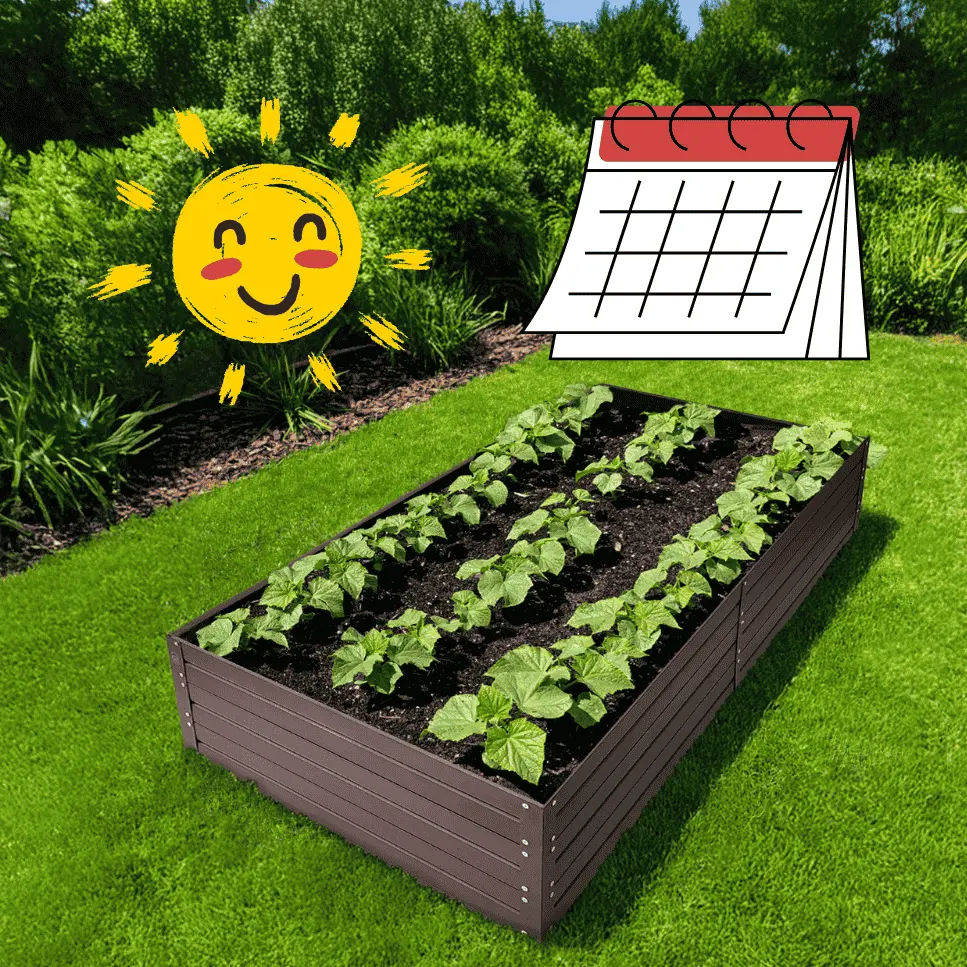 Dłuższy sezon wegetacji warzywnika