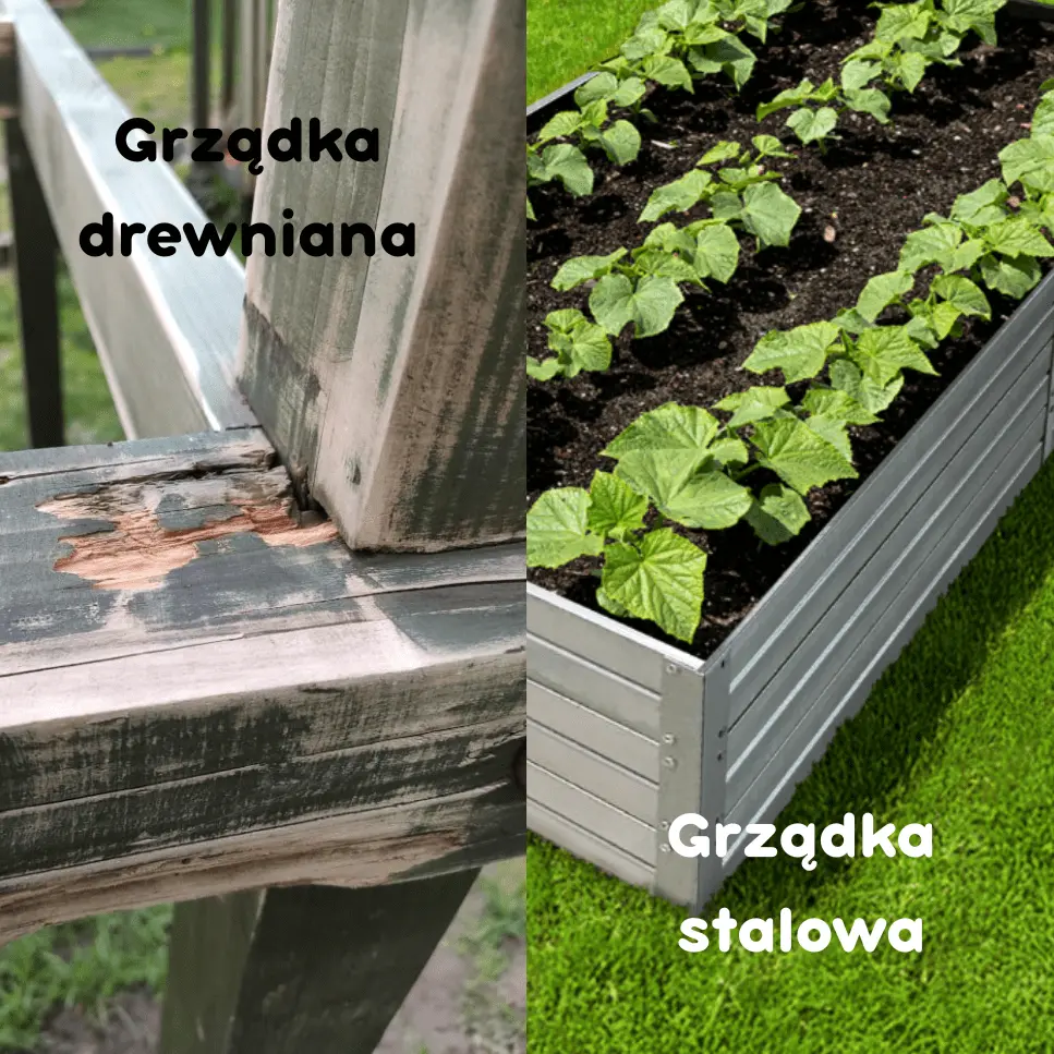 Grządka drewniana a stalowa
