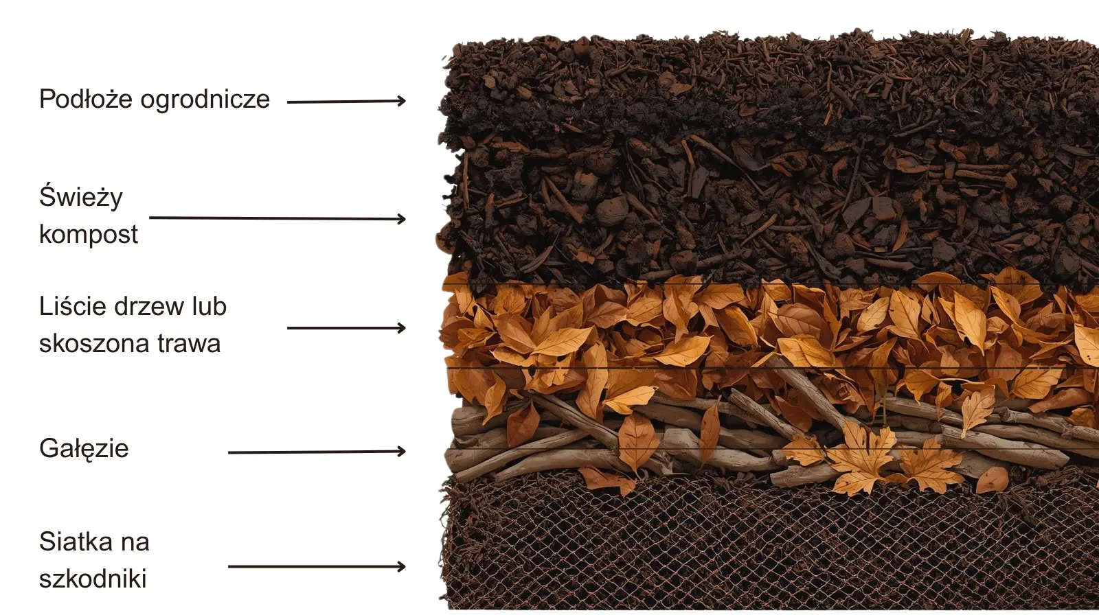 Warzywniak – podwyższona grządka – ocynk – Vegano - 150 x 75 x 30 cm siatka_na_krety