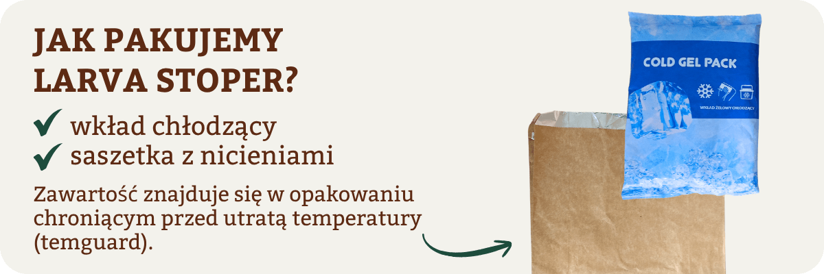 Wkłady do transportu