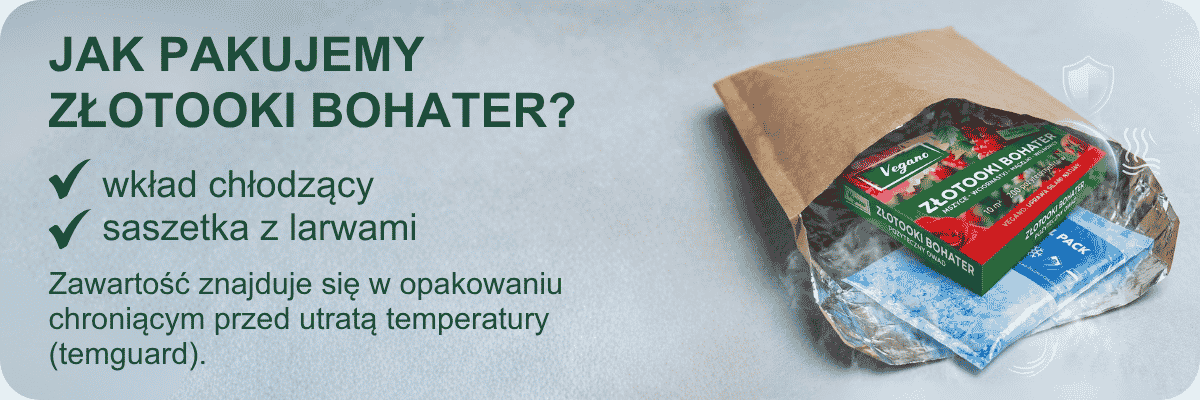 Złotooki bohater Vegano - 200 larw - 10 m2 ochrony Jak_pakujemy_ZLotooki_bohater