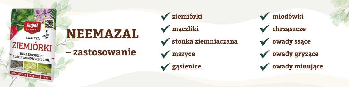 Neemazal jakie szkodniki zwalcza infografika