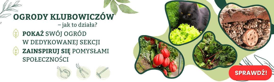 Ogrody Klubowiczów