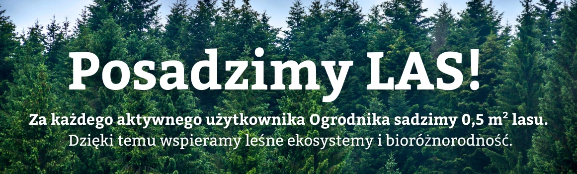 Posadzimy las