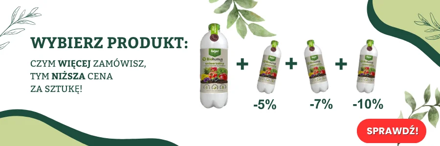  Wielosztuki