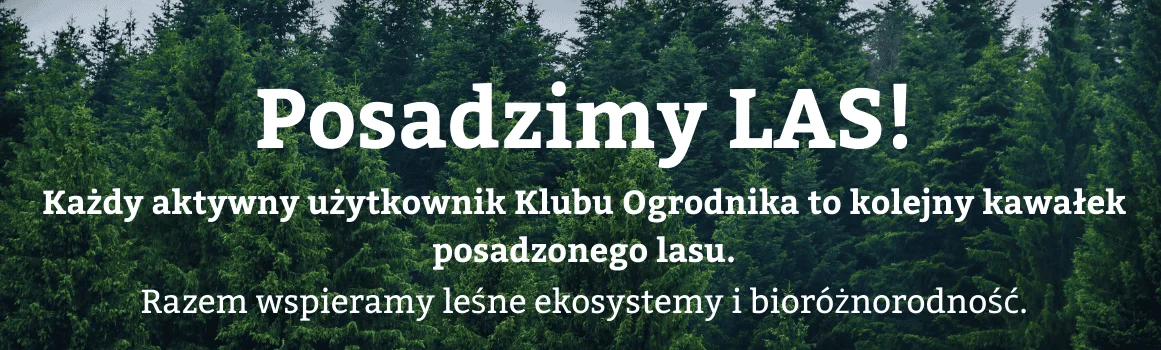  Posadzimy_las_dekstop
