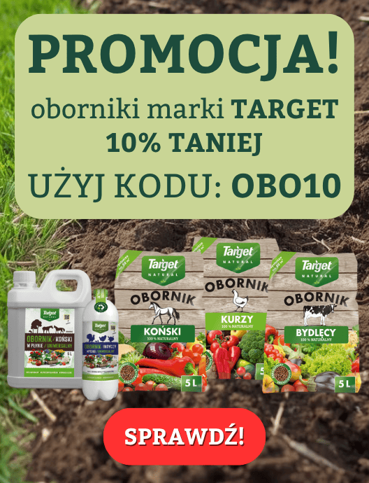 Oborniki -10% (13-26.10.2025)