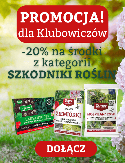 Promocja klub Szkodniki roślin