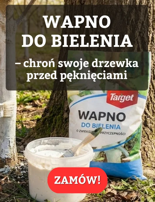 Wapno do bielenia