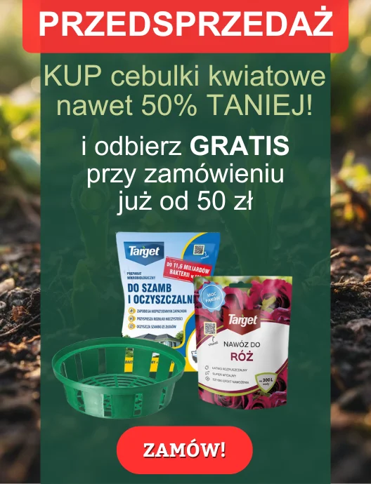 (Wyłączyć 09.02) Przedsprzedaż cebulki kwiatowe