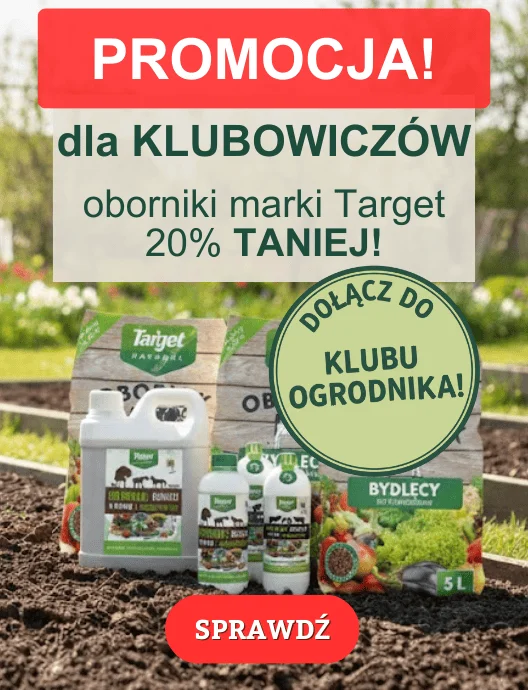 (Wyłączyć 09.02) Oborniki -20% dla Klubowiczów