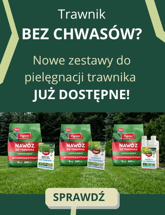 DODATKOWE