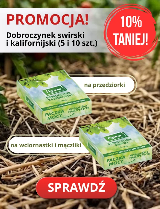 25-26 Dobroczynki 10% taniej