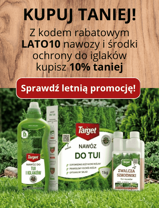 27-28 ŚOR iglaki