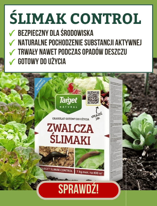 29-30 Ślimaki desktop