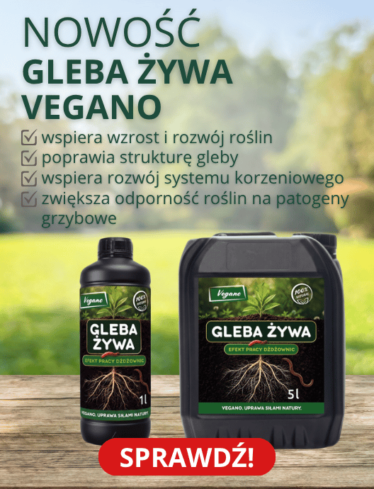 33-34 Vegano Gleba Żywa