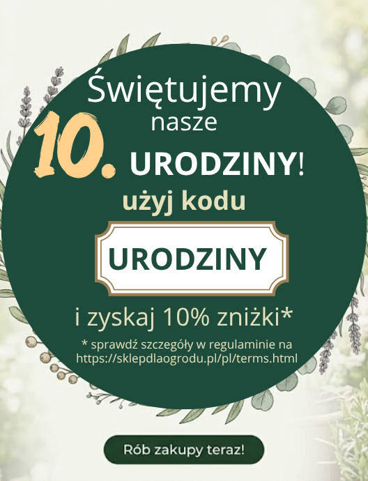 35-36 Kod rabatowy URODZINY