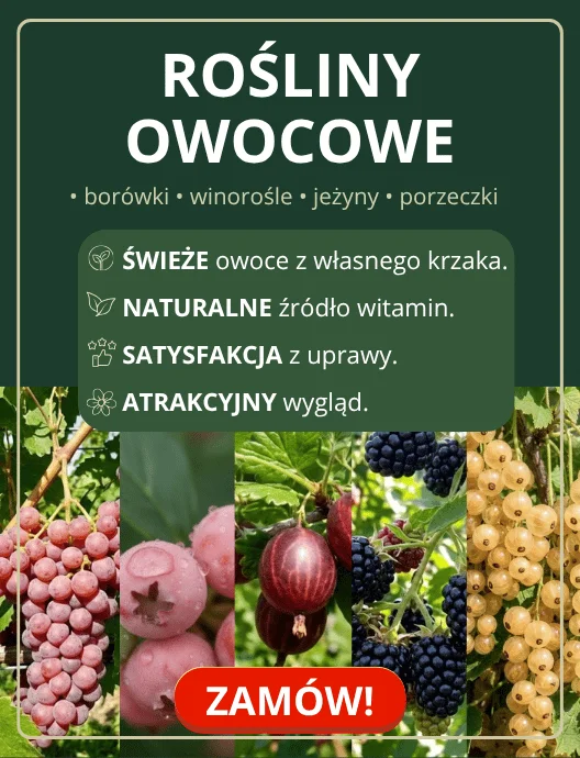 37-38 Rośliny owocowe