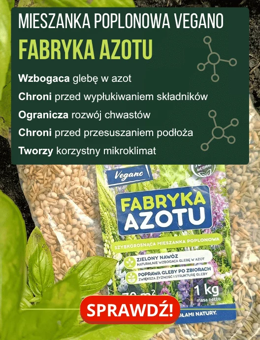 37-38 Poplon Fabryka Azotu Vegano