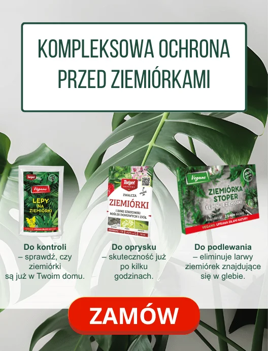 39-40 Preparaty na ziemiórki