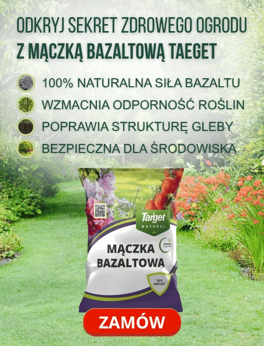 39-40 Mączka bazaltowa