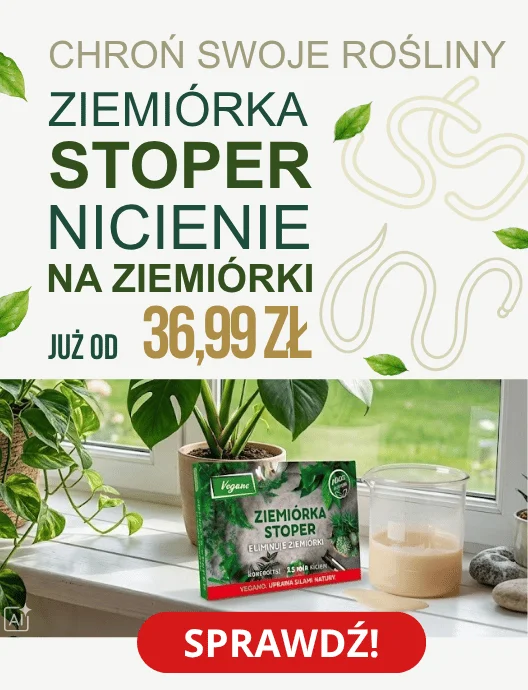 41-42 Nicienie na ziemiórki