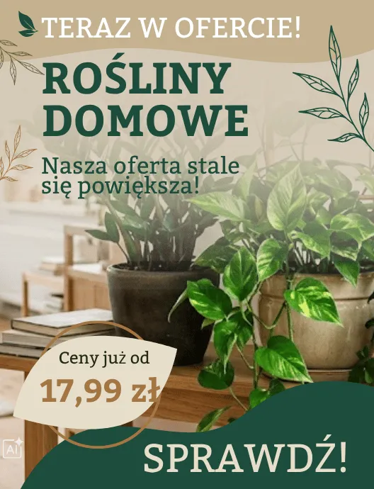 43-44 Rośliny domowe