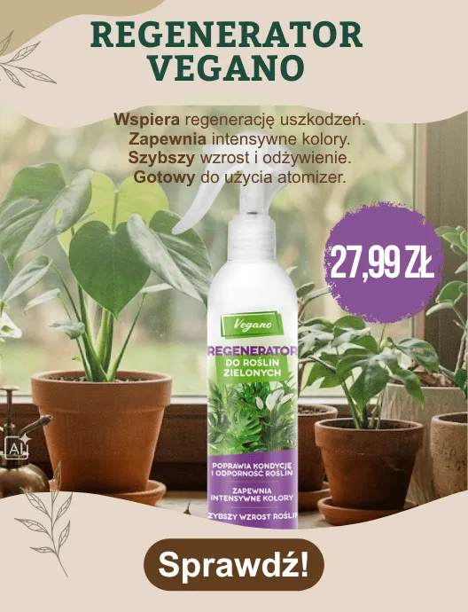 43-44 Regenerator Vegano