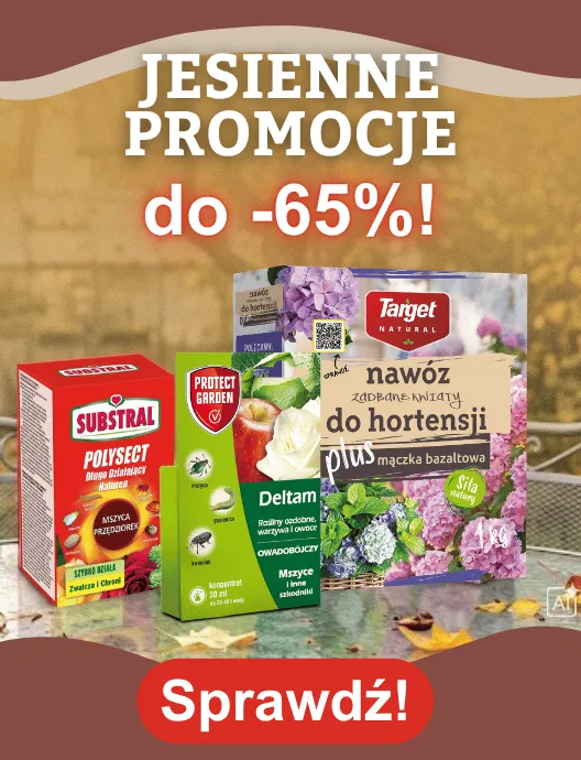 43-44 Promocje