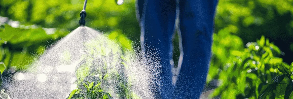 Karencja i prewencja - ważne pojęcia podczas oprysków roślin