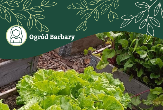 Inspiracje od naszej społeczności – ogród Barbary