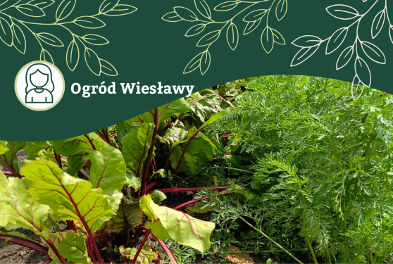 Inspiracje od naszej społeczności – ogród Wiesławy