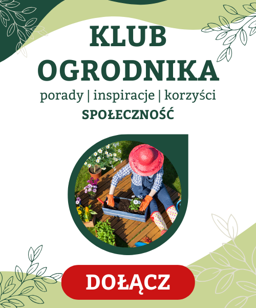 baner klub ogrodnika