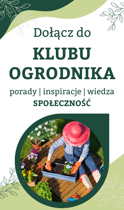 baner newsletter