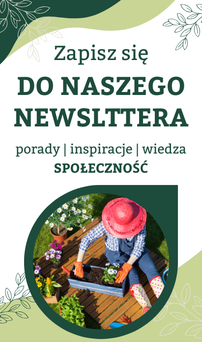 baner newsletter