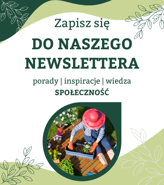baner newsletter